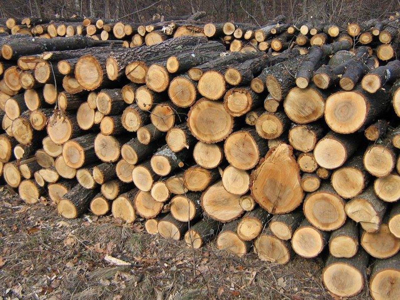 „Nu trebuie să ne îngrijorăm”. Hajder dă asigurări că lemnele de foc vor ajunge pentru toți