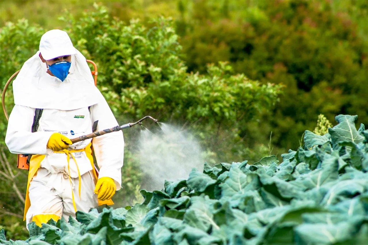 Peste 20 de decese în R. Moldova provocate de intoxicațiile cu pesticide: Experții solicită autorităților să ia măsuri