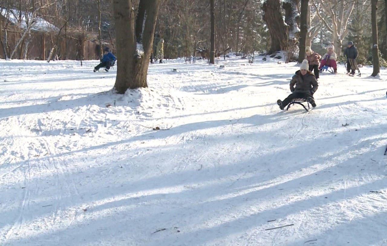 Copiii și adulții au profitat de ninsoare | Fiecare delușor a devenit loc de distracție într-un parc din capitală 