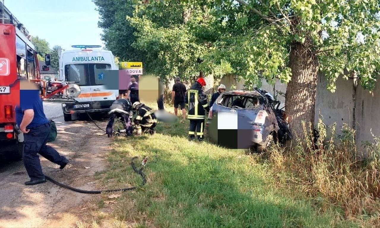 Серьезная авария в Каларашском районе: двое молодых людей погибли после  того, как их машина врезалась в дерево