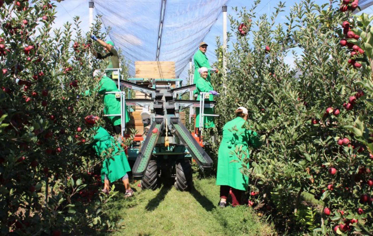 Un singur profil pentru toate ajutoarele financiare: Ce trebuie să știe agricultorii despre „Registrul Fermierilor”