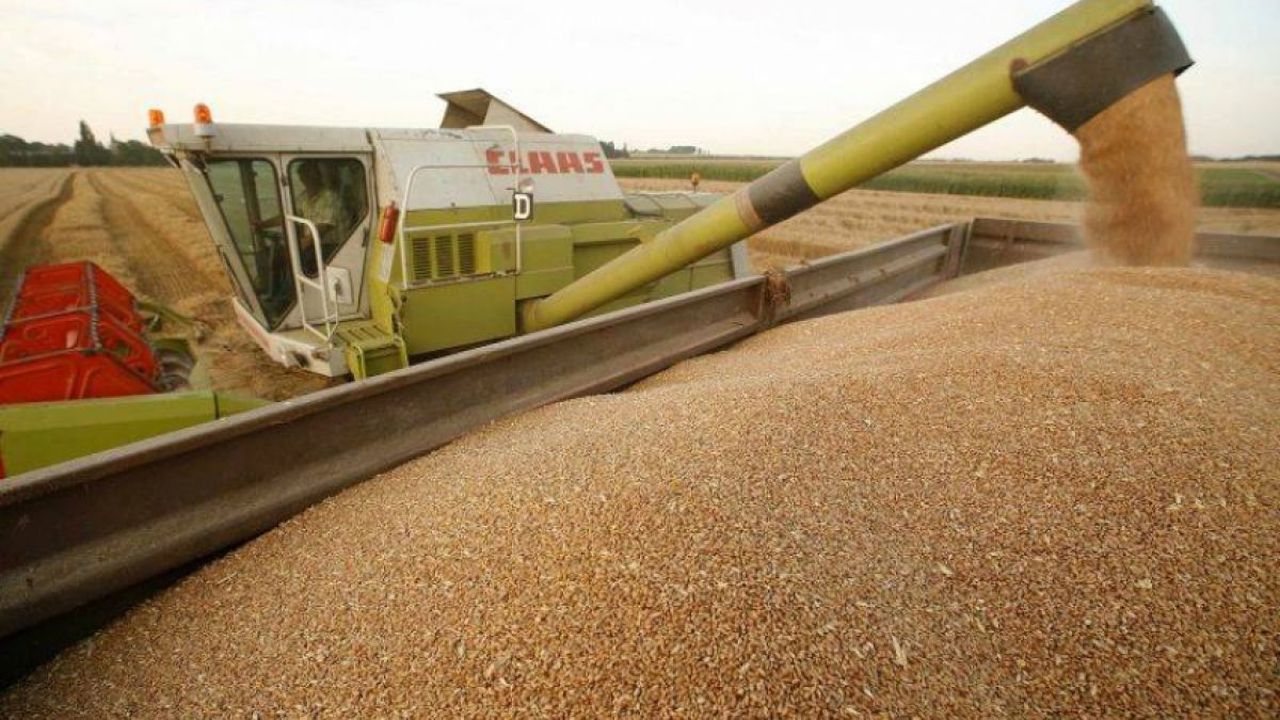 Украина обещает сократить экспорт продуктов питания, чтобы успокоить настроение польских фермеров