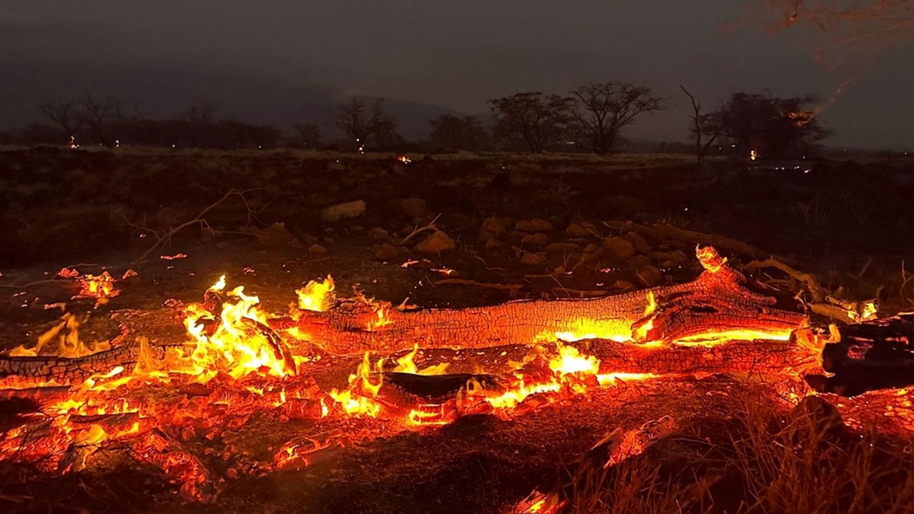 Hawaii wildfires: At least 89 people have died