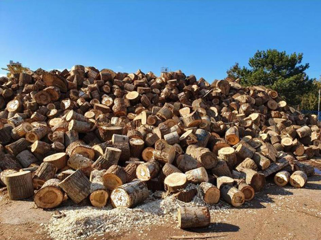 CSE adjusted the mechanism for distributing firewood to the population