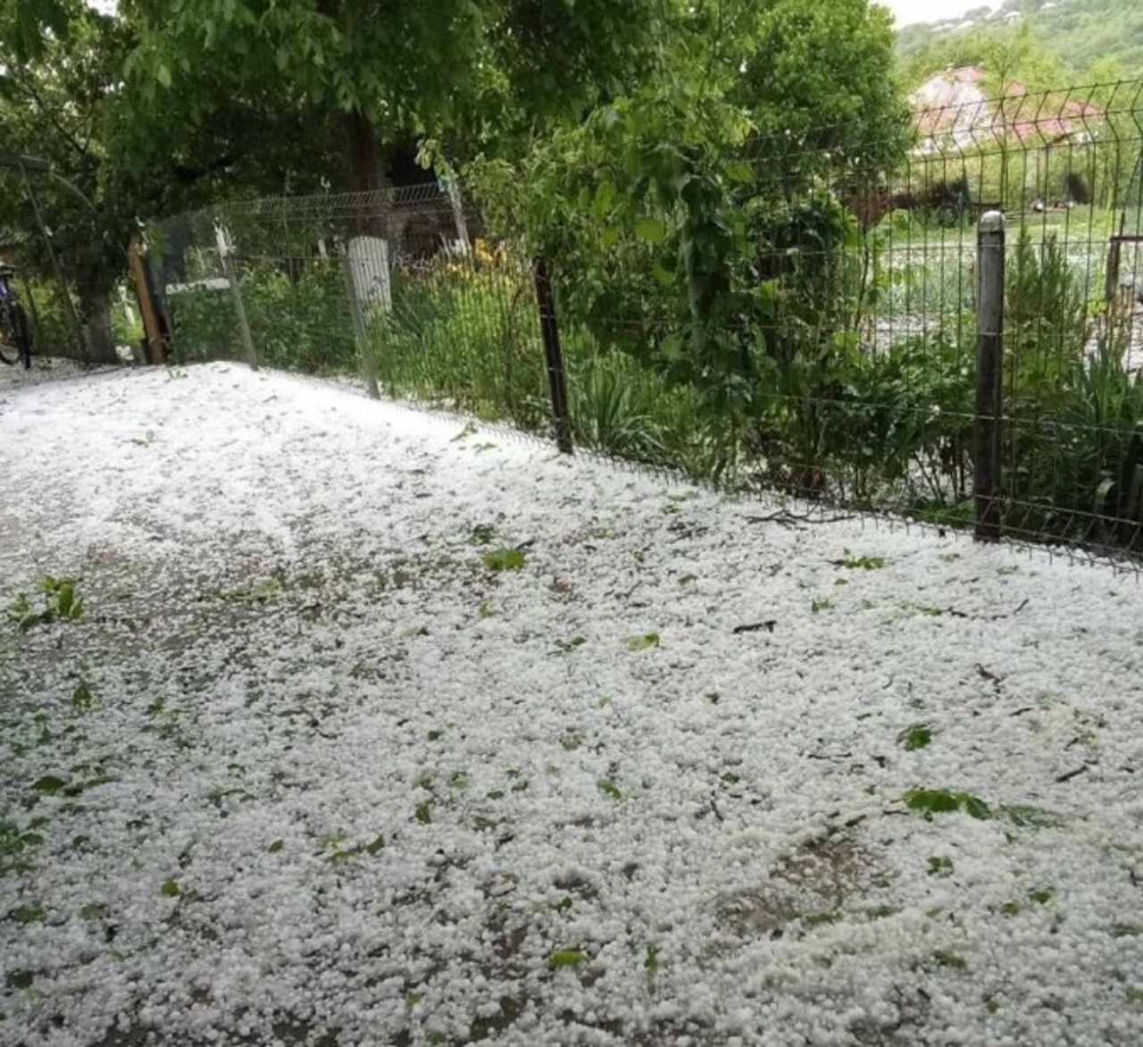 Ploaie puternică cu grindină și vijelie în nordul R. Moldova: „Parcă a nins în grădină” 