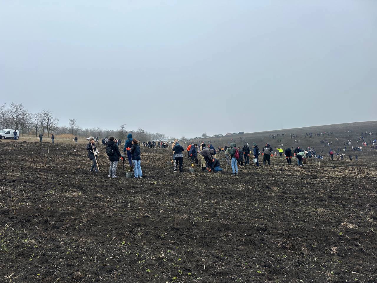 National Forest Program aims to plant 145,000 hectares by 2032