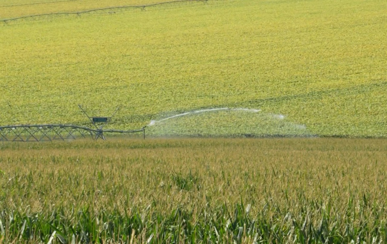 Aproape 7.000 de hectare de teren agricol din trei raioane vor putea fi irigate cu ajutorul unor sisteme moderne