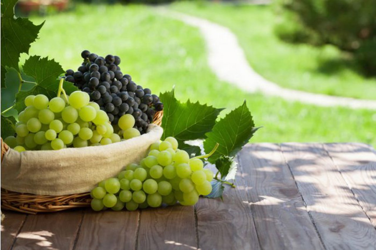 Record achievement for the Republic of Moldova: Grape exports to the EU double this year