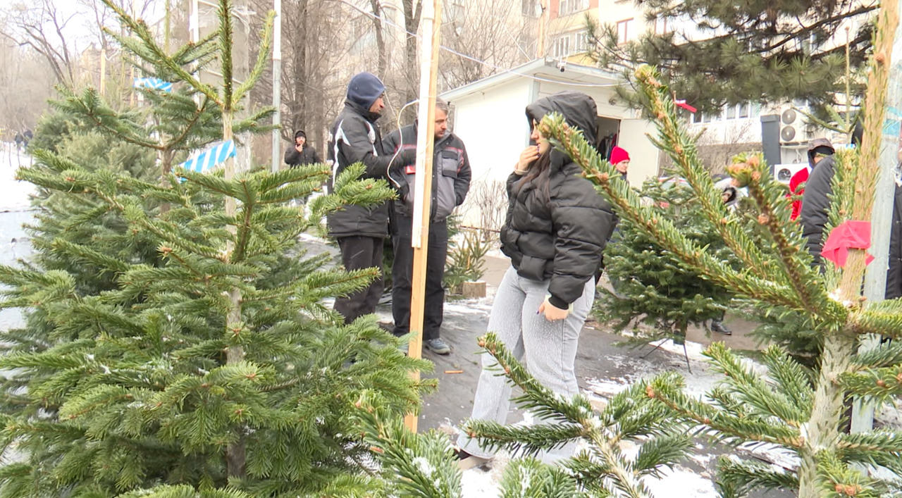 Ultima șansă, cel mai mic preț: brazii s-au vândut la jumătate de cost