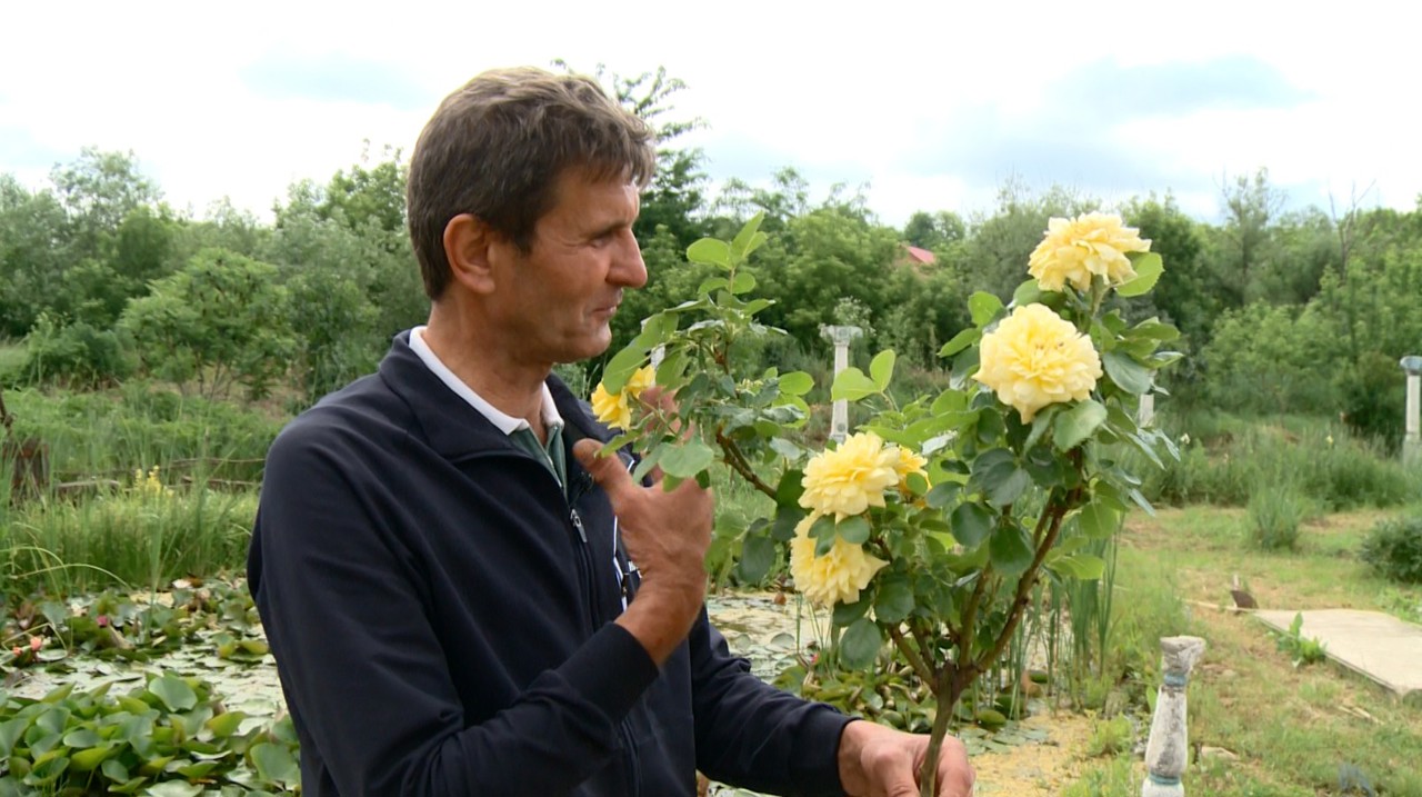 Muzeul florilor rare prinde rădăcini la Brănești, grație lui Iurie Răileanu