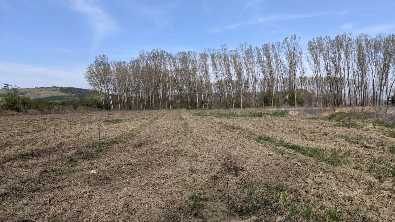 Peste o treime din suprafața R. Moldova este afectată de eroziune, estimează experții 