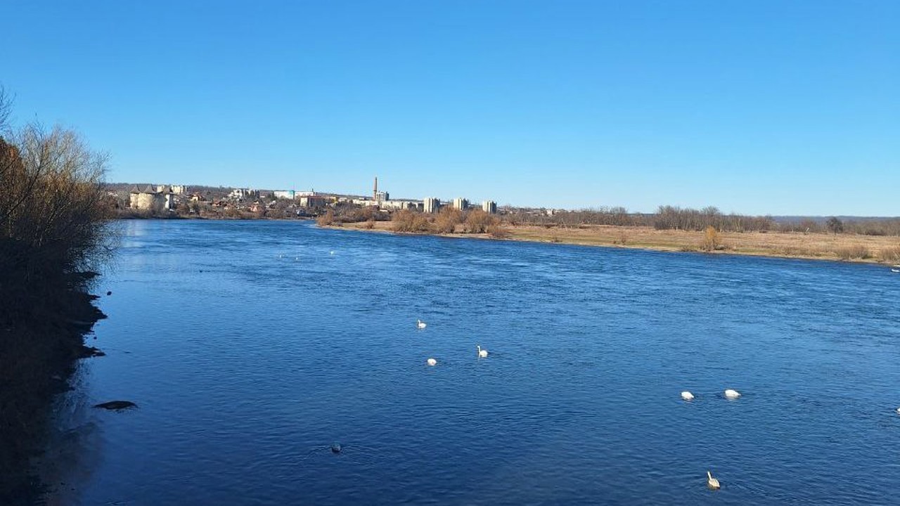 Cooperare R. Moldova - Ucraina după scurgerea de petrol în fluviul Nistru. „Poluarea e gestionabilă”, susține ministrul Mediului