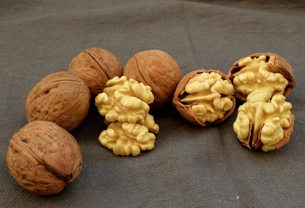 Model de succes la Telenești: Cooperativa din Inești care transformă nucile moldovenești în produs competitiv