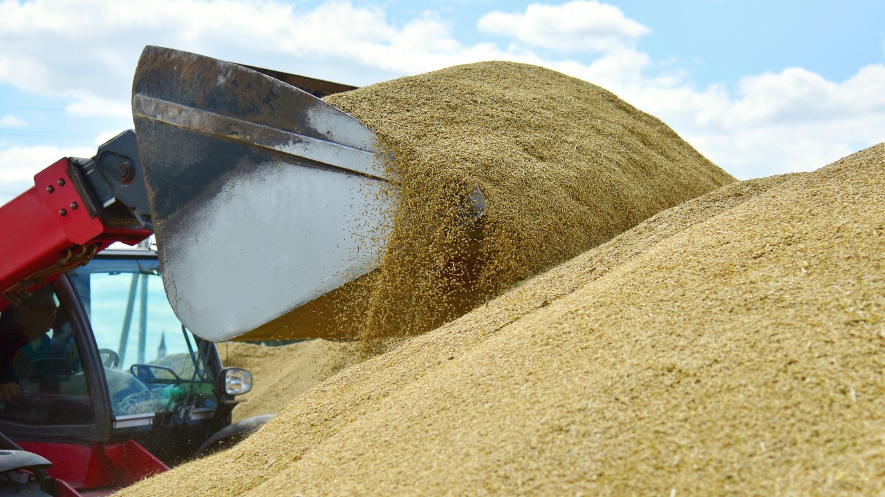 Ukraine grain deal expires after Russia pulls out