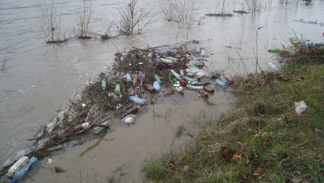 Doctor în științe biologice: „În zonele rurale situația gestionării deșeurilor este mai gravă decât în cele urbane”