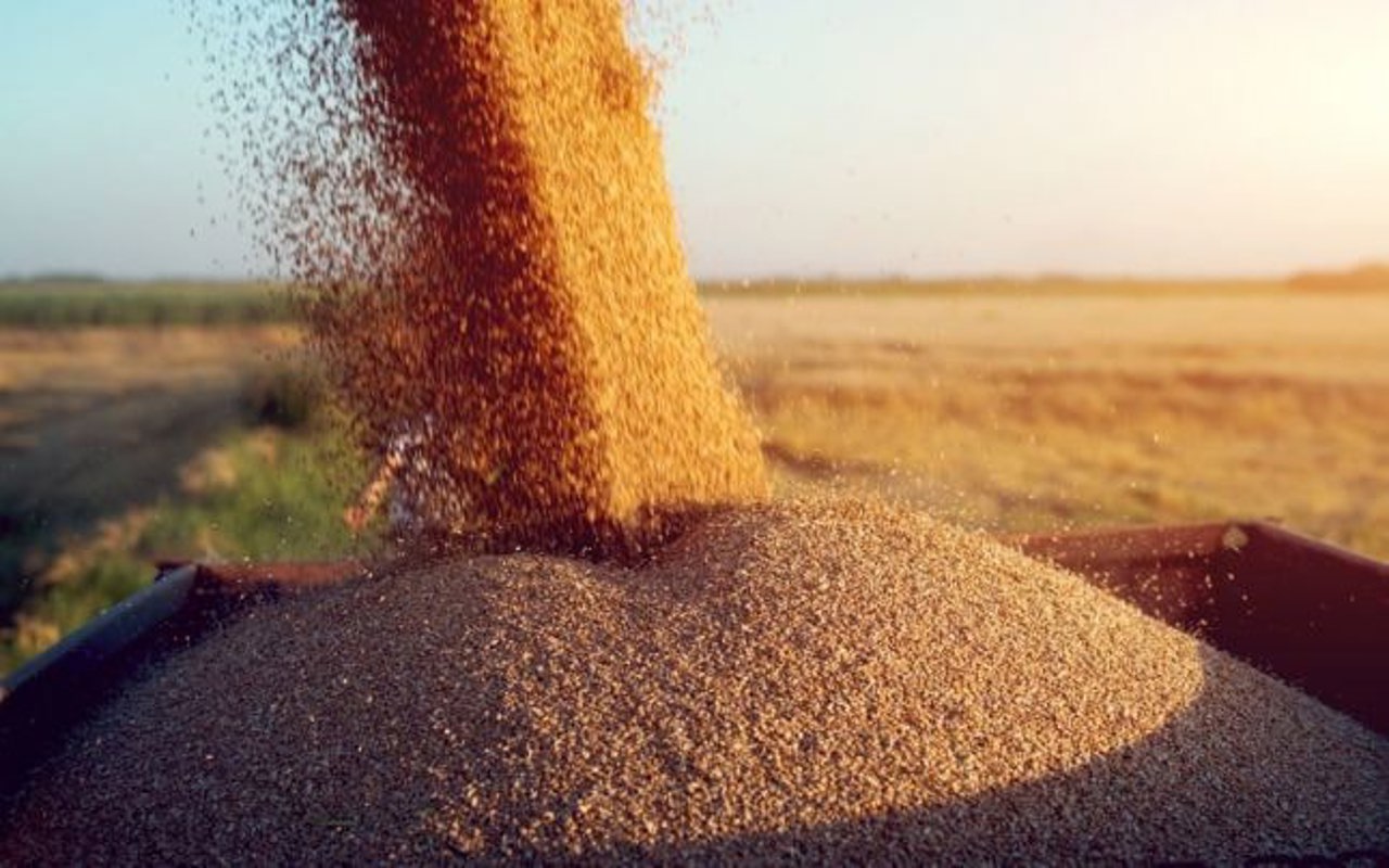 România va impune măsuri de securizare pentru transportul produselor care tranzitează teritoriul său către țările terțe