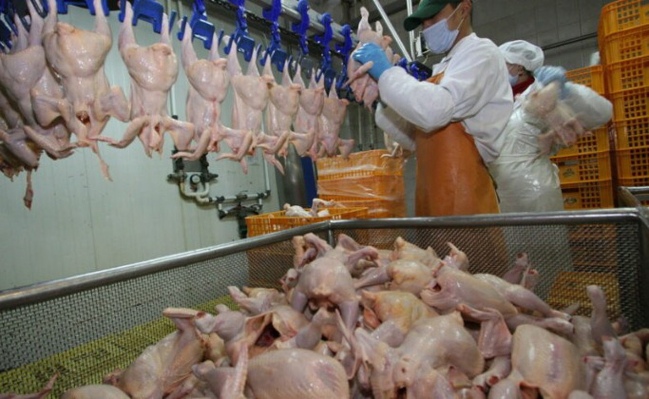 Importul de carne de pasăre din Ucraina, suspendat temporar
