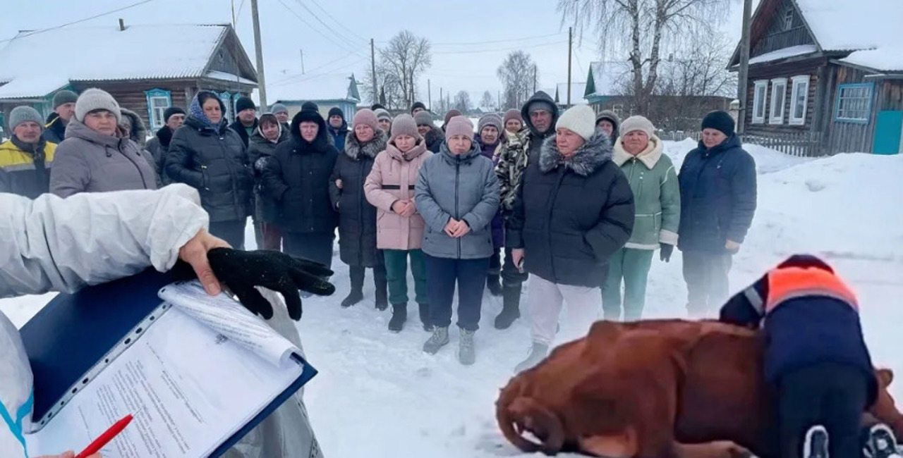 Rusia: Ministrul agriculturii din Novosibirsk, demis pe fondul sacrificării animalelor din ferme