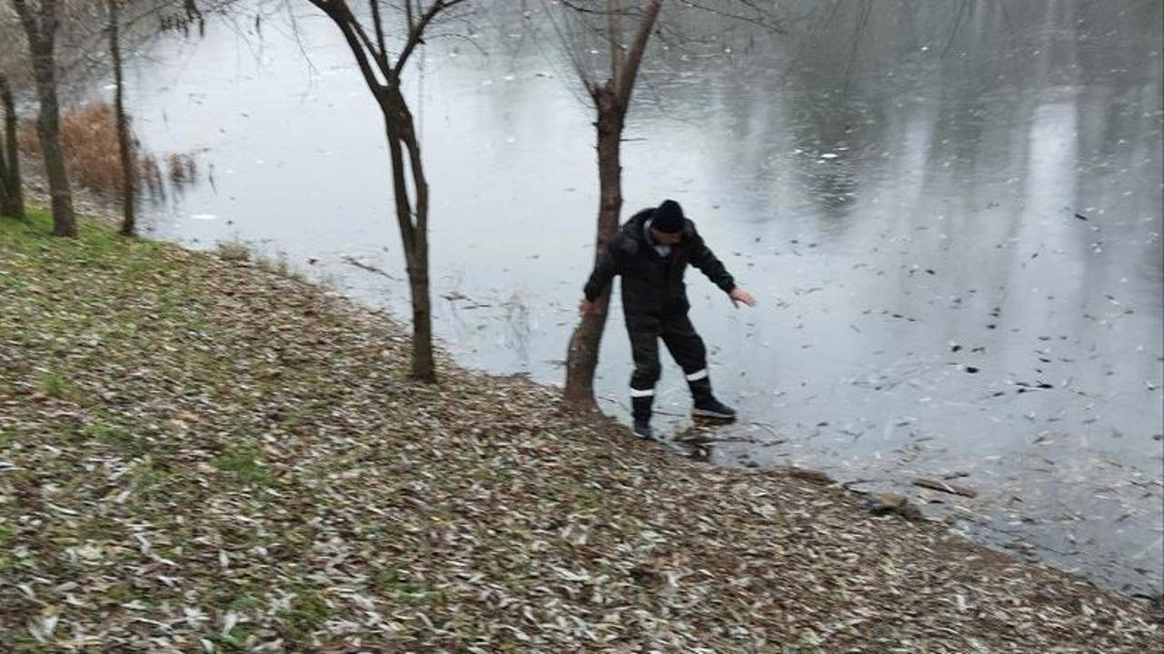 Nu pășiți pe gheața fragilă, avertizează salvatorii