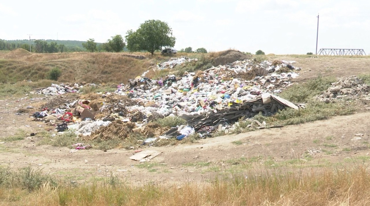  Situl fosilifer din Calfa, în pericol din cauza gunoiului: Geologii și localnicii sunt revoltați   