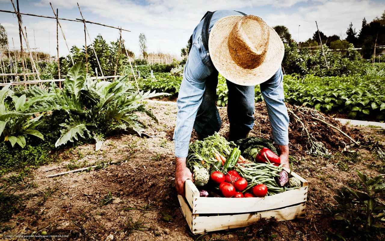 Creșterea producției agricole din Republica Moldova asigură 45% din activitatea industrială a țării