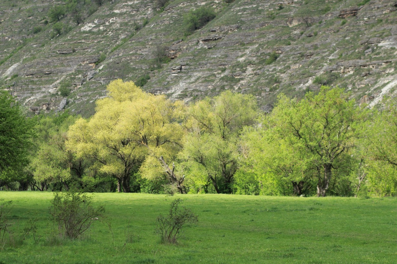 Ziua Mondială a Rezervațiilor Naturale | Ministerul Mediului: „O zi care ne reamintește că viitorul naturii depinde de fiecare dintre noi”