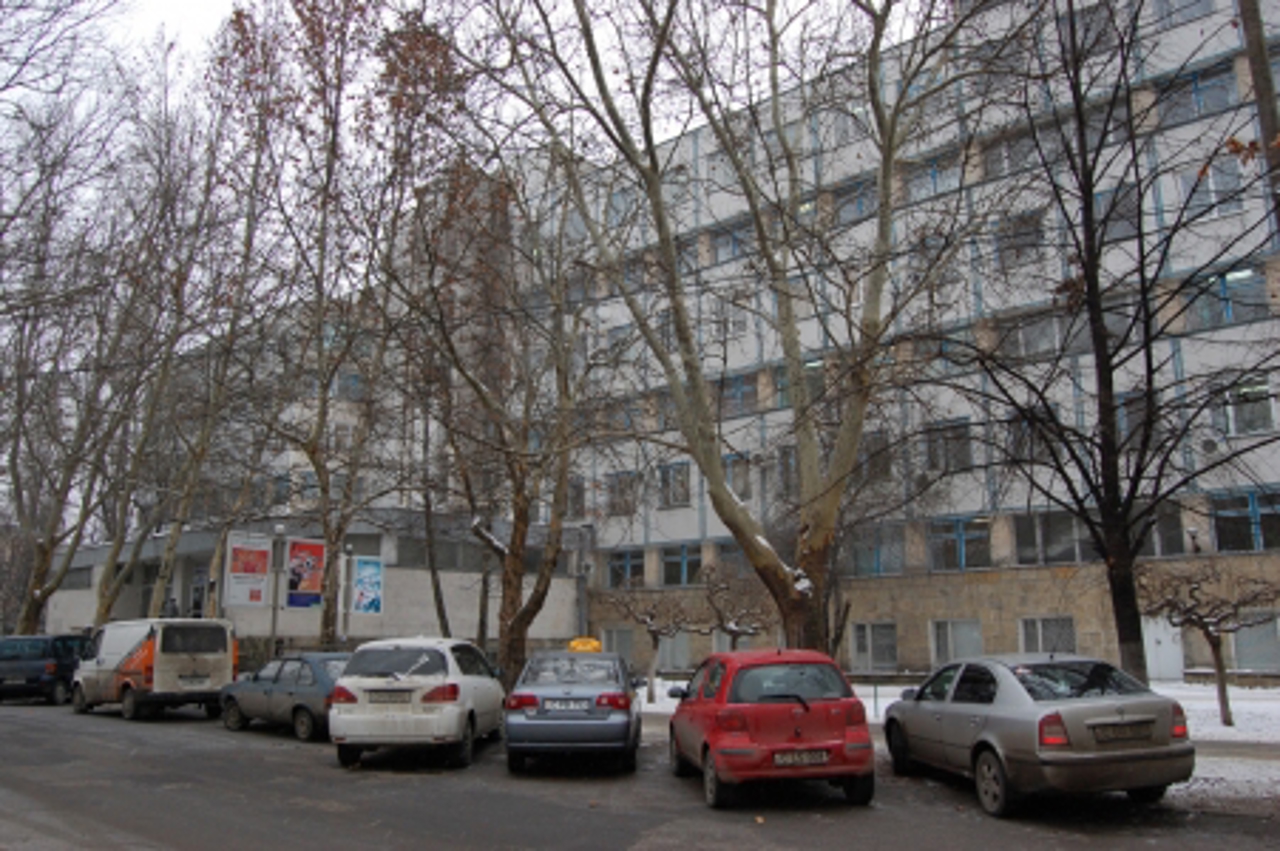 Serviciul antirabic din Chișinău va fi descentralizat din 1 ianuarie 2026