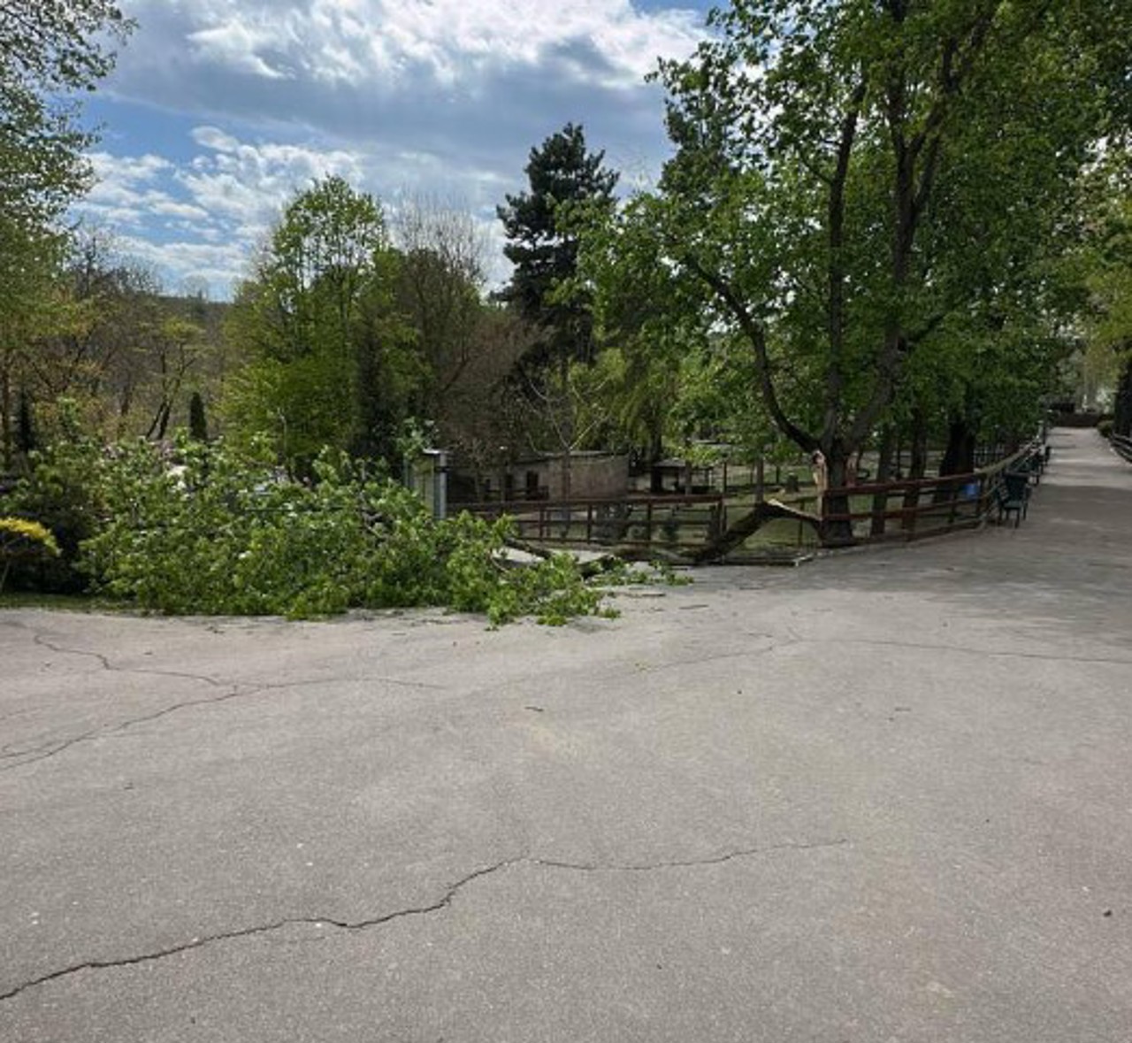 Detalii în cazul copilului de 6 ani, rănit pe teritoriul Grădinii Zoologice