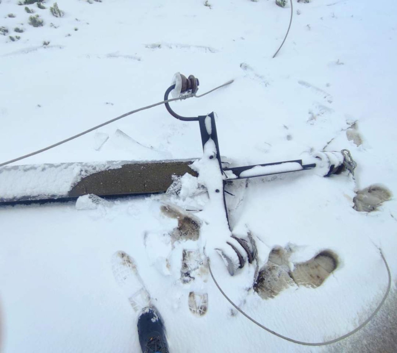 Telegram/Premier Energy