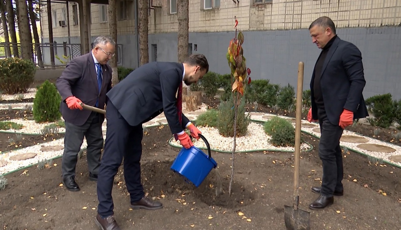 Посол Японии в Кишиневе и руководство TRM посадили сакуру во дворе компании