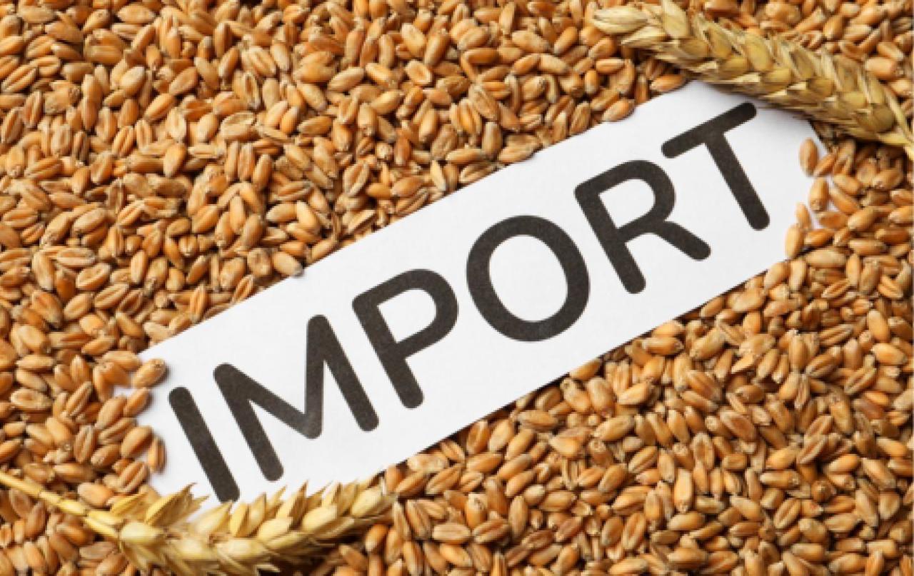 Moldova to licence wheat, corn, and sunflower imports