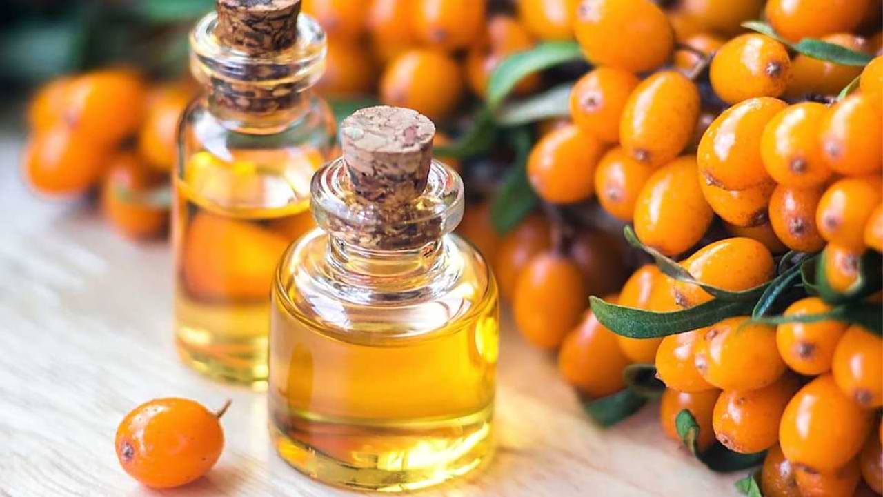 De la plantație la ceai și sirop: cum este valorificată cătina în sezonul rece