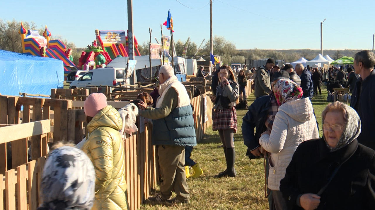 Pastoral traditions and crafts, celebrated in Cimișlia