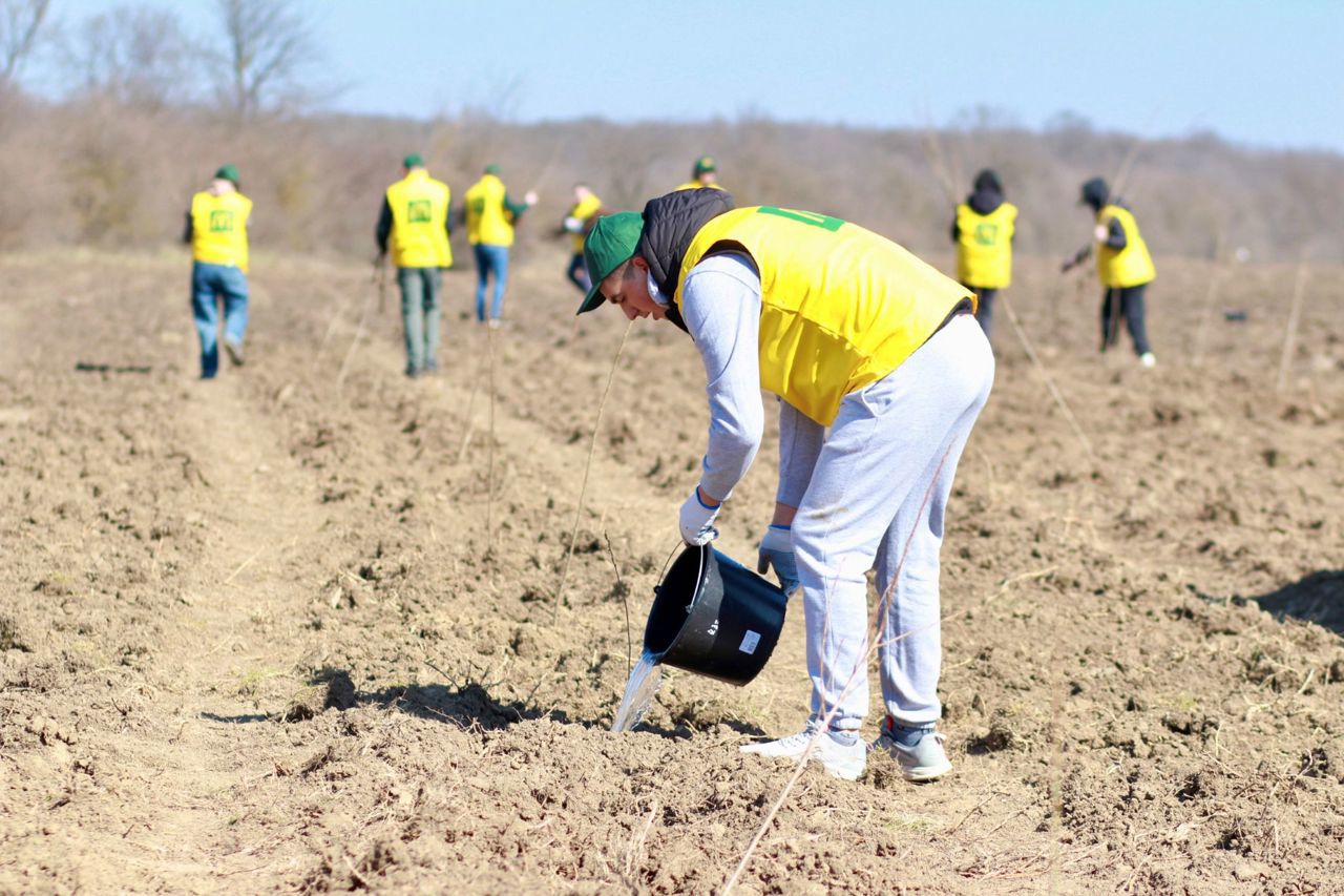 Record €300 million in EU funding for Moldova’s environmental and reforestation projects