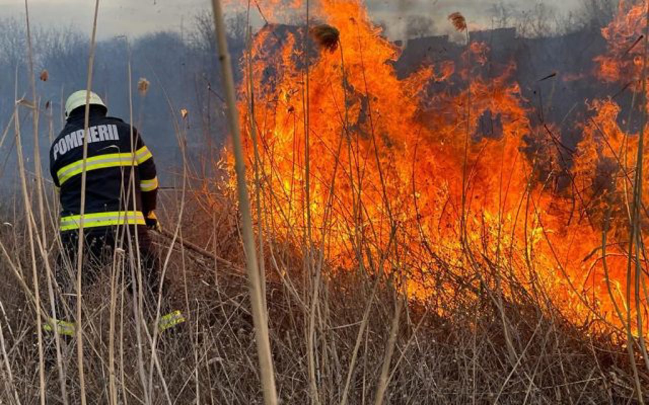 В эти выходные пожар уничтожил более 500 гектаров сухой растительности