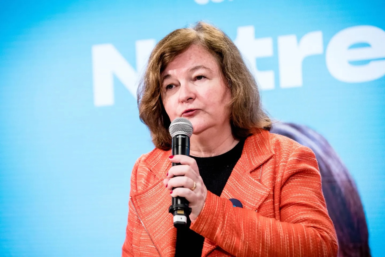 Moldova receives support assurances from the European Parliament in combating disinformation