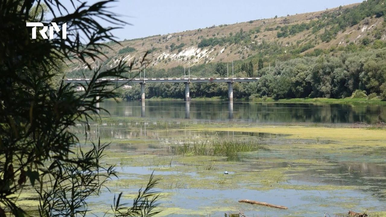 В Молдове обеспокоены снижением уровня воды в Днестре: Минэкологии назвало ситуацию критической