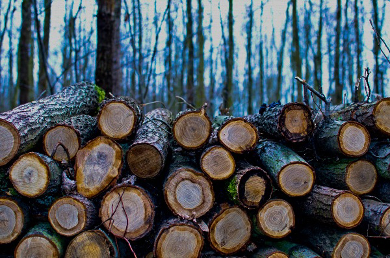 Решение КЧС: Небытовые потребители могут приобретать до 200 кубометров дров