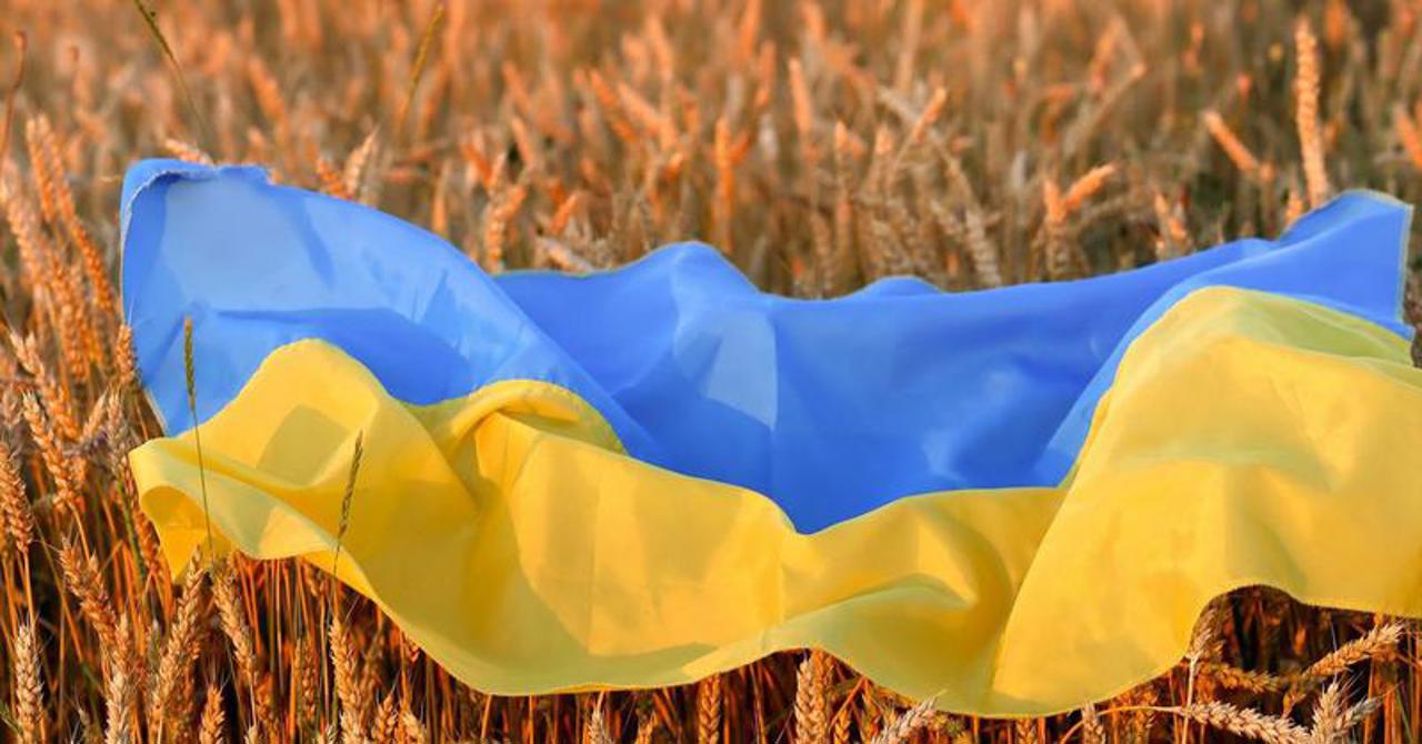 Kiev protests in Brussels and Warsaw against restrictions on Ukrainian wheat imports