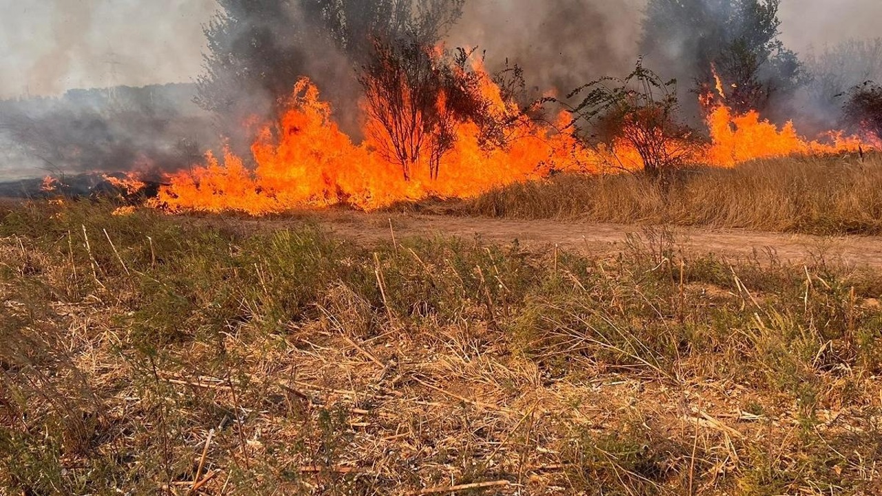 Explozie și incendiu în apropiere de Talmaza, raionul Ștefan Vodă: Un aparat de zbor neidentificat s-a prăbușit