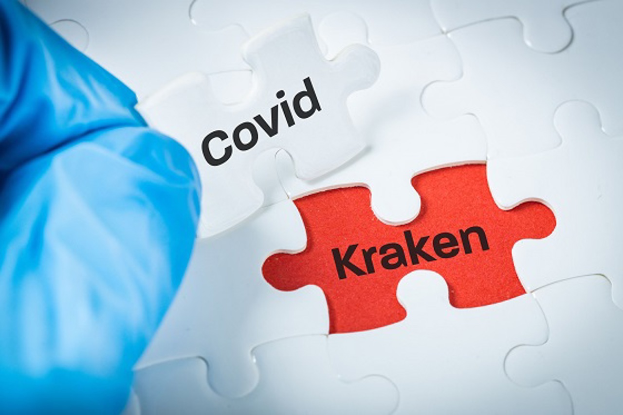 COVID-19: The first cases of infection with the Kraken subvariant were confirmed in the Republic of Moldova