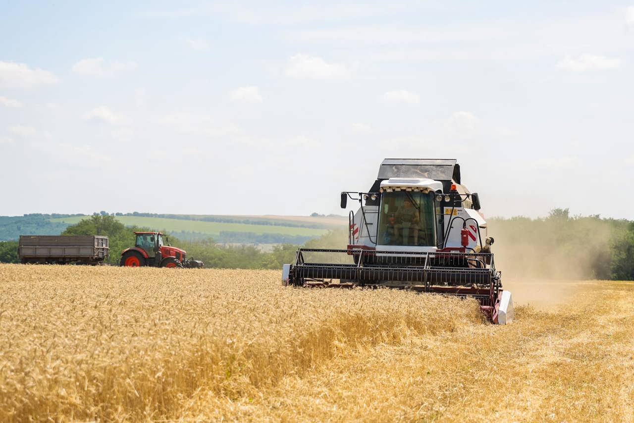 Moldovan farmers dissatisfied with grain price