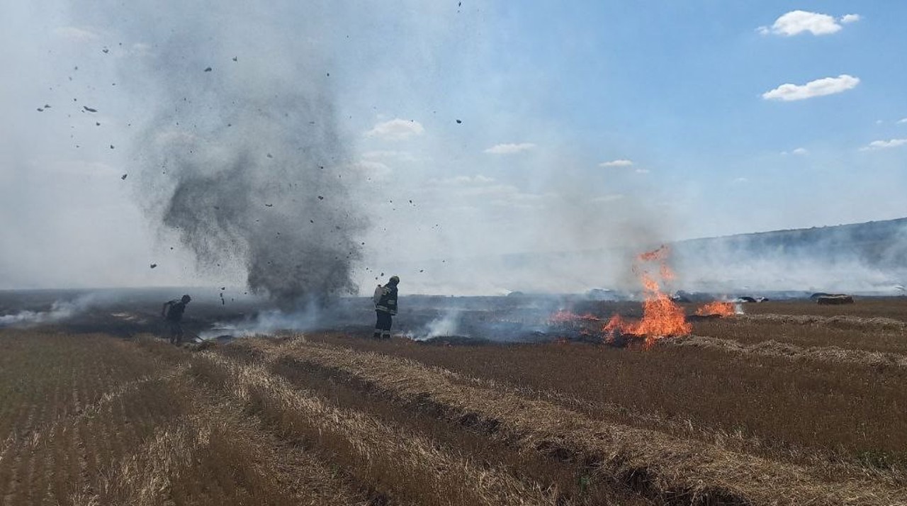 Pompierii au intervenit în peste 70 de cazuri de incendii de vegetație: Zeci de hectare de teren au fost afectate