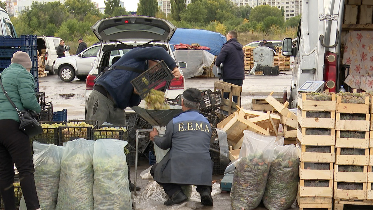 Ripe grapes and seasonal products at the "Butoiaș" fair in Chisinau