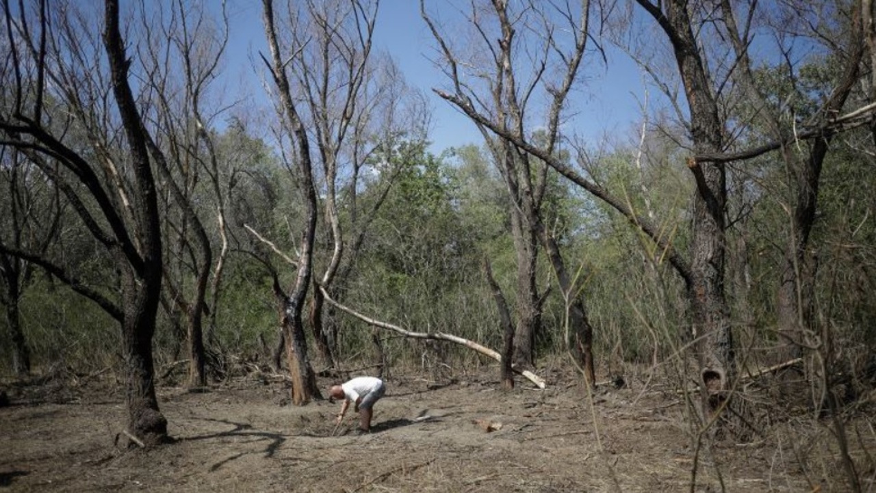 România a informat aliații NATO privind fragmentele de dronă găsite în județul Tulcea. Ambasadorul Rusiei la București, convocat la MAE. 