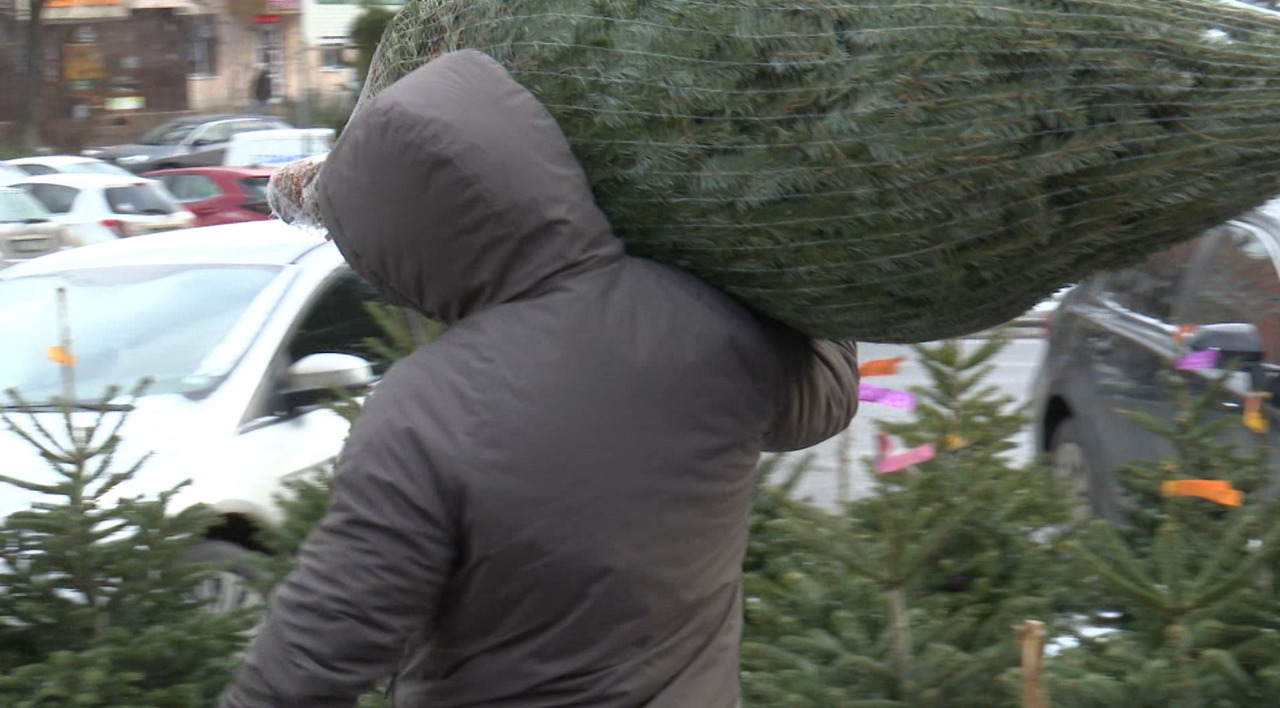 Ultima șansă, cel mai mic preț: brazii s-au vândut la jumătate de cost