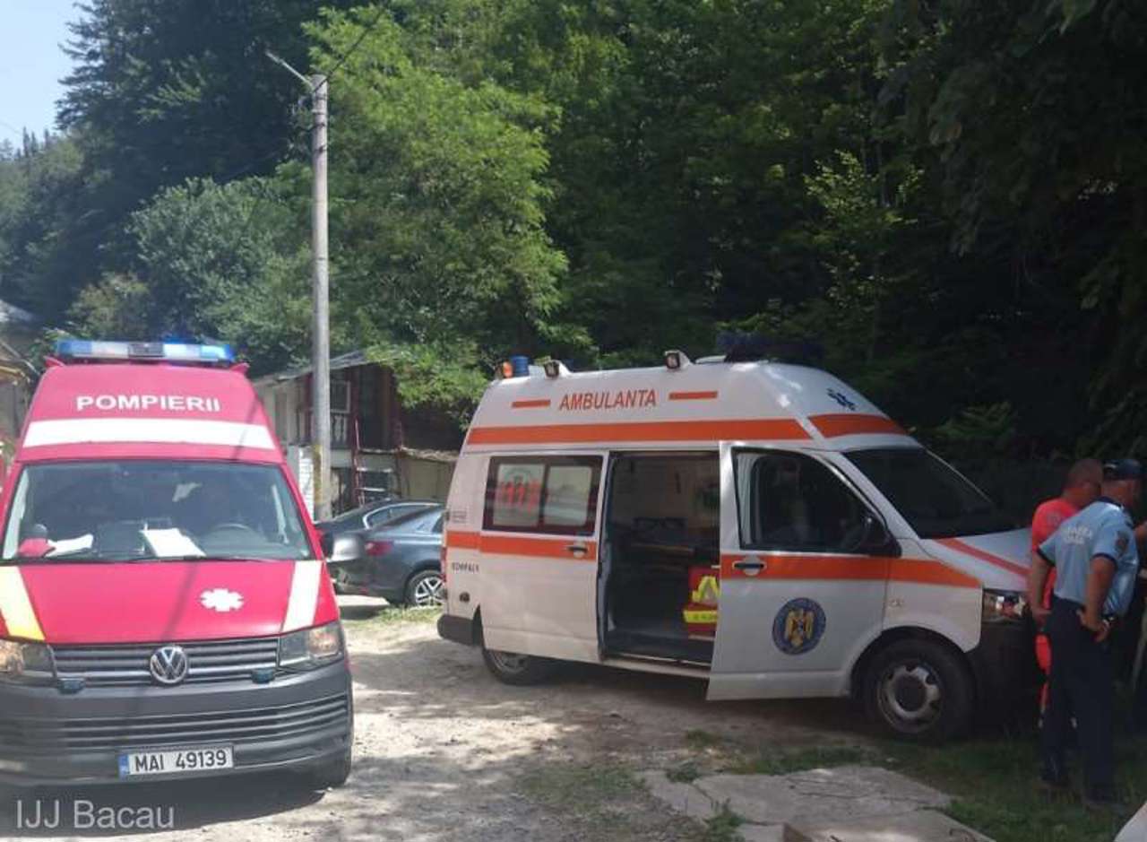 Doi moldoveni, răniți în România: Au fost atacați de un urs 