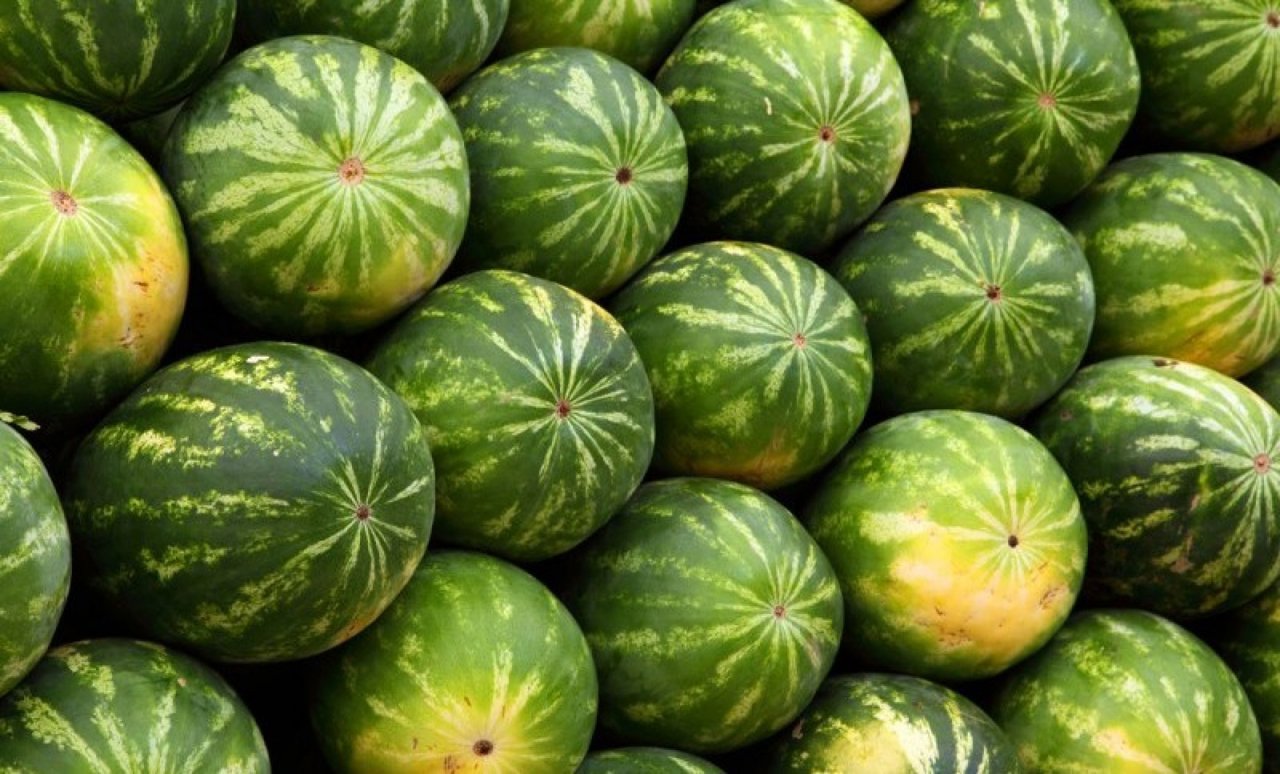 Start sezonului de pepeni verzi. Cât costă un kilogram