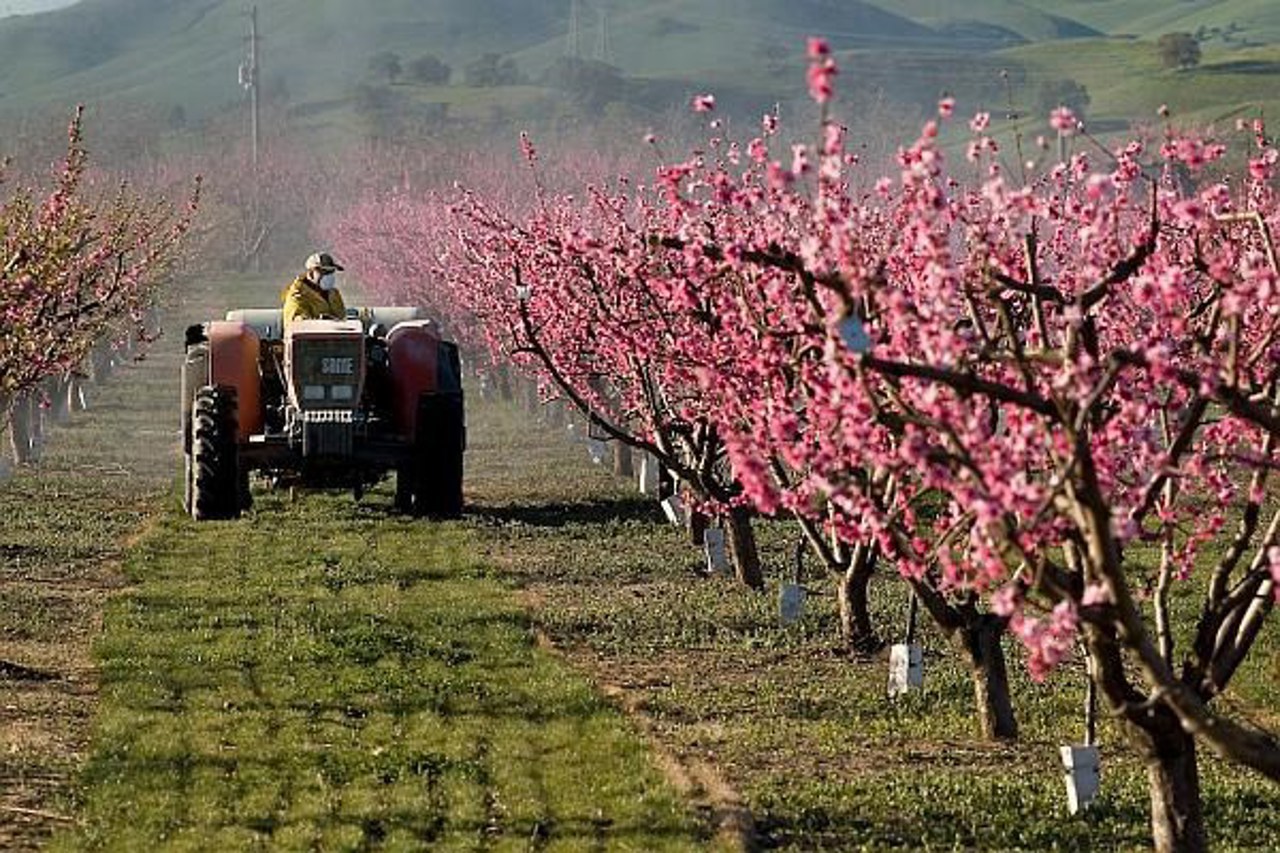 Sprijin pentru agricultori: Nouă componentă de finanțare pentru capitalul circulant prin Programul FCA