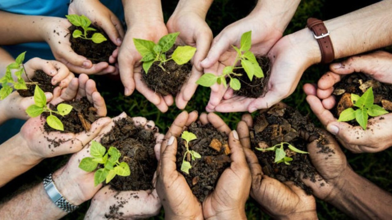Major investments support greening and land restoration in southern Moldova